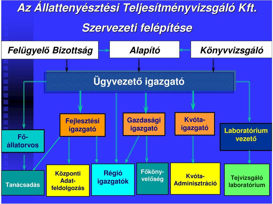 Ügyvezetı igazgató Fejlesztési igazgató Gazdasági igazgató Fıállatorvos Kvótaigazgató