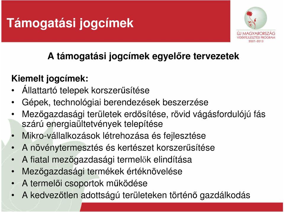 telepítése Mikro-vállalkozások létrehozása és fejlesztése A növénytermesztés és kertészet korszerűsítése A fiatal mezőgazdasági