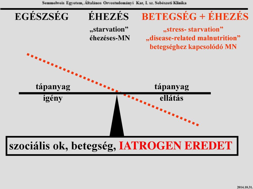 malnutrition betegséghez kapcsolódó MN tápanyag