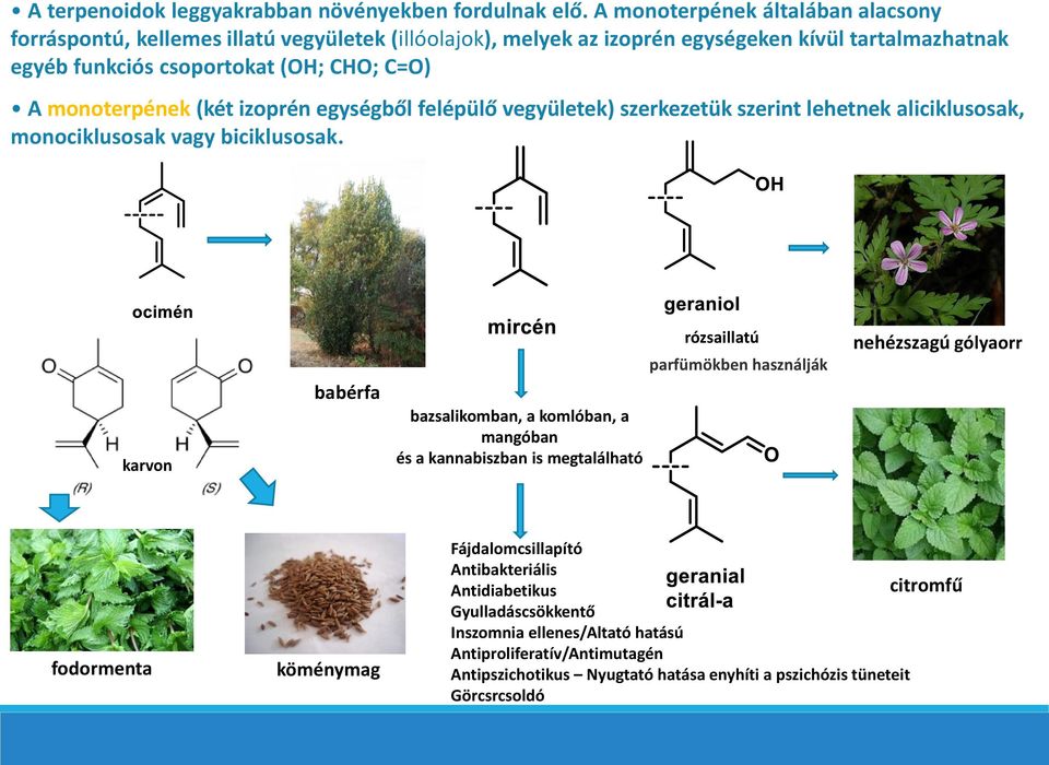 monoterpének (két izoprén egységből felépülő vegyületek) szerkezetük szerint lehetnek aliciklusosak, monociklusosak vagy biciklusosak.