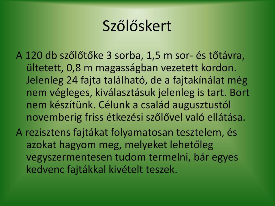 Bort nem készítünk. Célunk a család augusztustól ove erig friss étkezési szőlővel való ellátása.