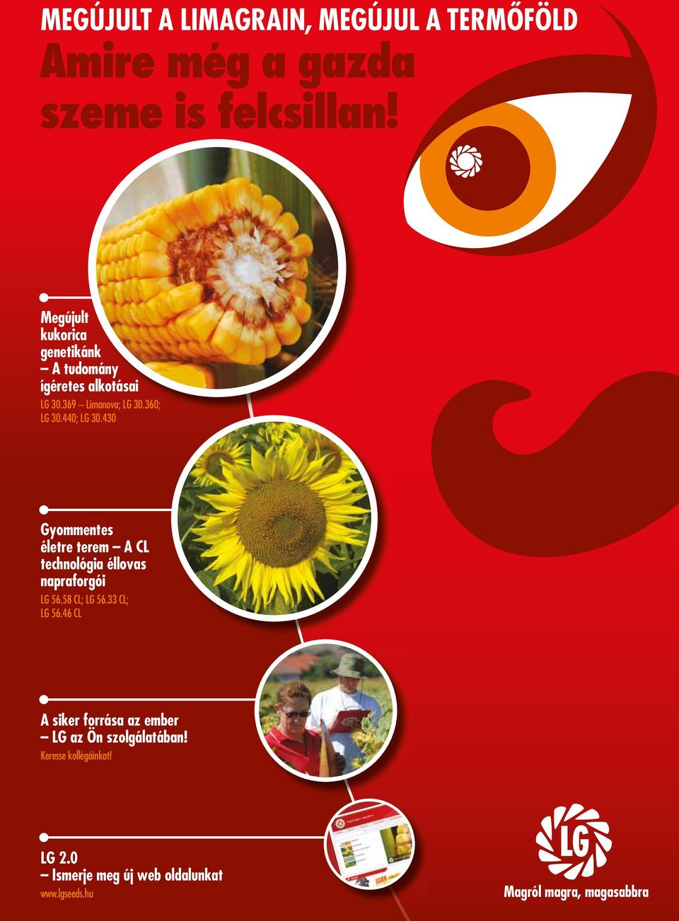 430 Gyommentes életre terem A CL technológia éllovas napraforgói LG 56.58 CL; LG 56.33 CL; LG 56.
