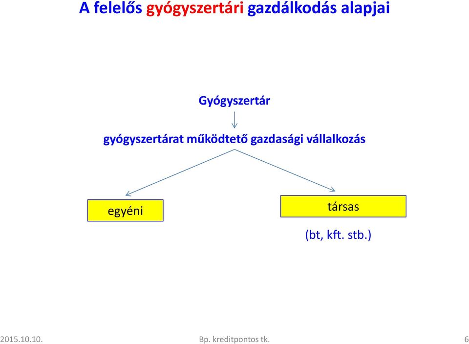 működtető gazdasági vállalkozás egyéni