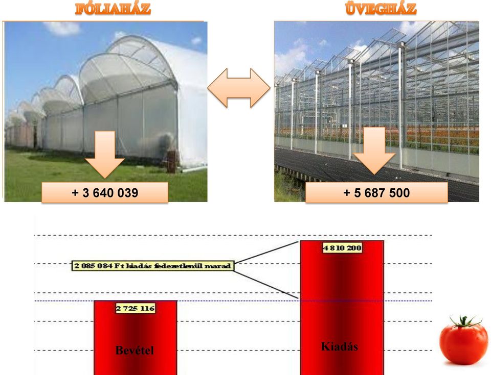 jövedelem (Ft/m 2 ) 1628 Fedezeti összeg (Ft/m 2 ) 1052 Fedezeti összeg (Ft/m 2 ) 1858 Önköltség (Ft/kg) 117 Önköltség