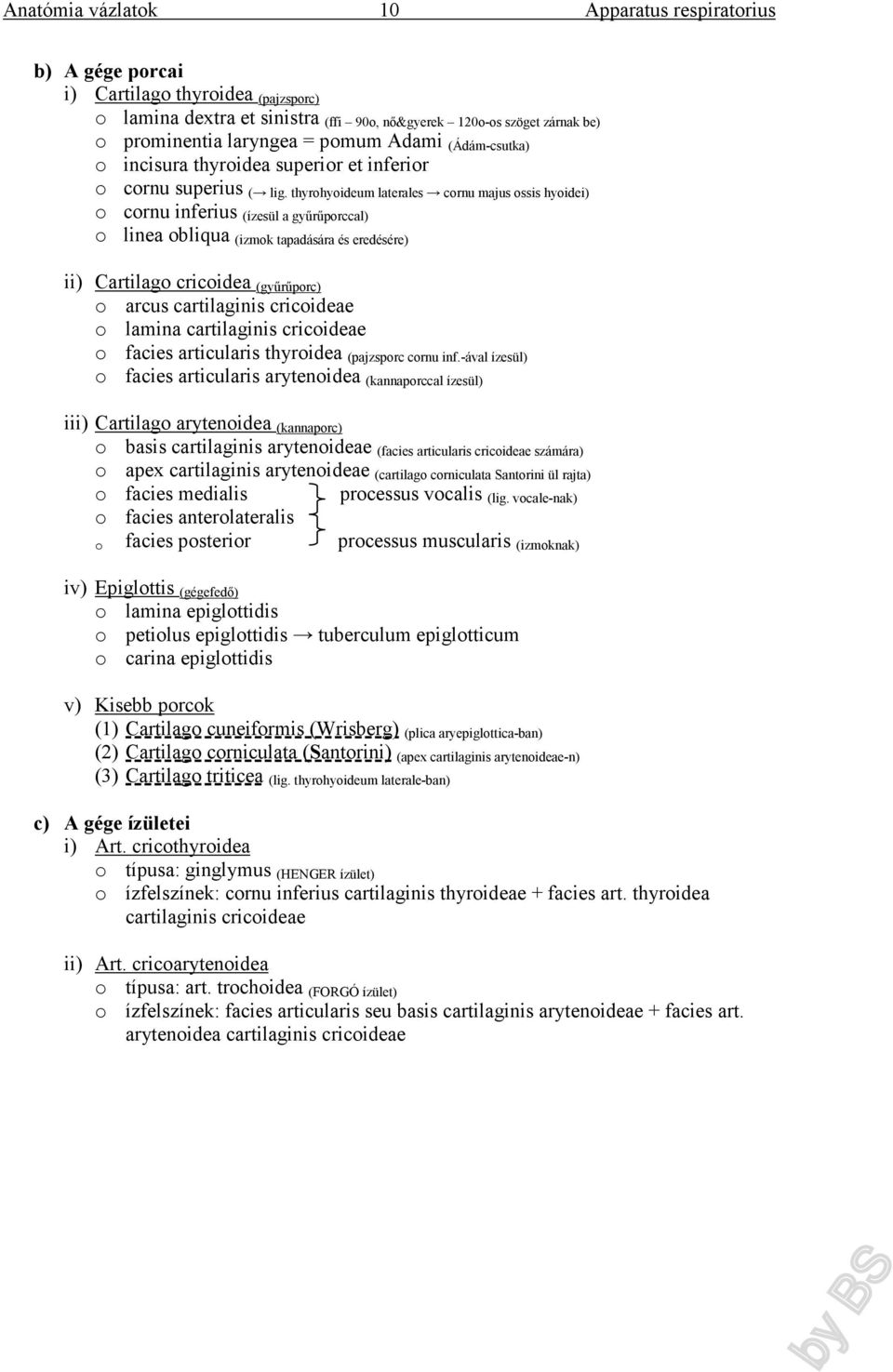 thyrohyoideum laterales cornu majus ossis hyoidei) o cornu inferius (ízesül a gyűrűporccal) o linea obliqua (izmok tapadására és eredésére) ii) Cartilago cricoidea (gyűrűporc) o arcus cartilaginis