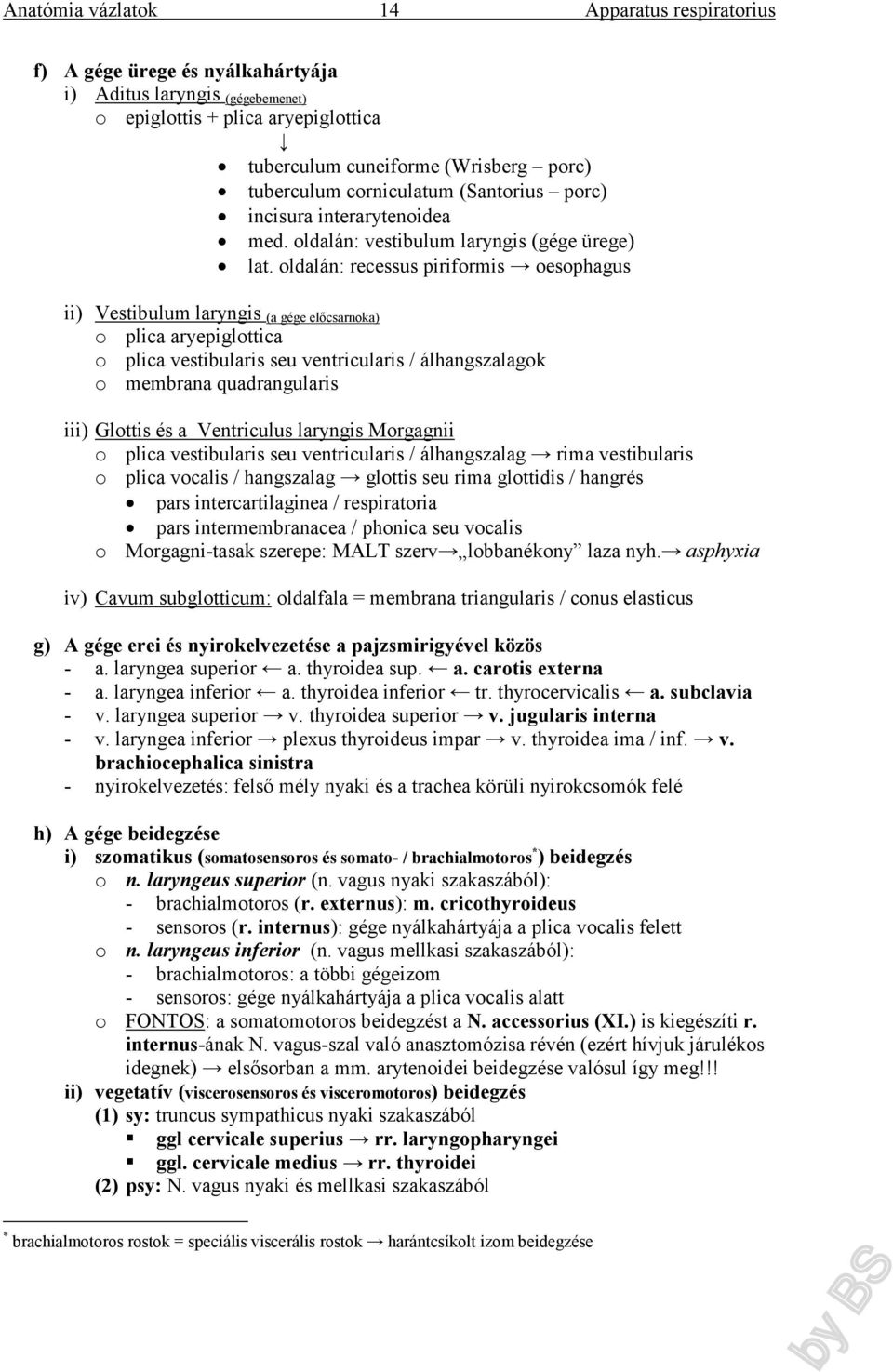 oldalán: recessus piriformis oesophagus ii) Vestibulum laryngis (a gége előcsarnoka) o plica aryepiglottica o plica vestibularis seu ventricularis / álhangszalagok o membrana quadrangularis iii)