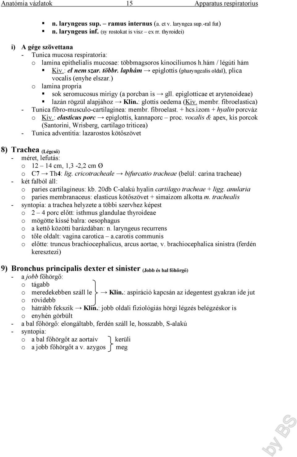 laphám epiglottis (pharyngealis oldal), plica vocalis (enyhe elszar.) o lamina propria sok seromucosus mirigy (a porcban is gll. epiglotticae et arytenoideae) lazán rögzül alapjához Klin.