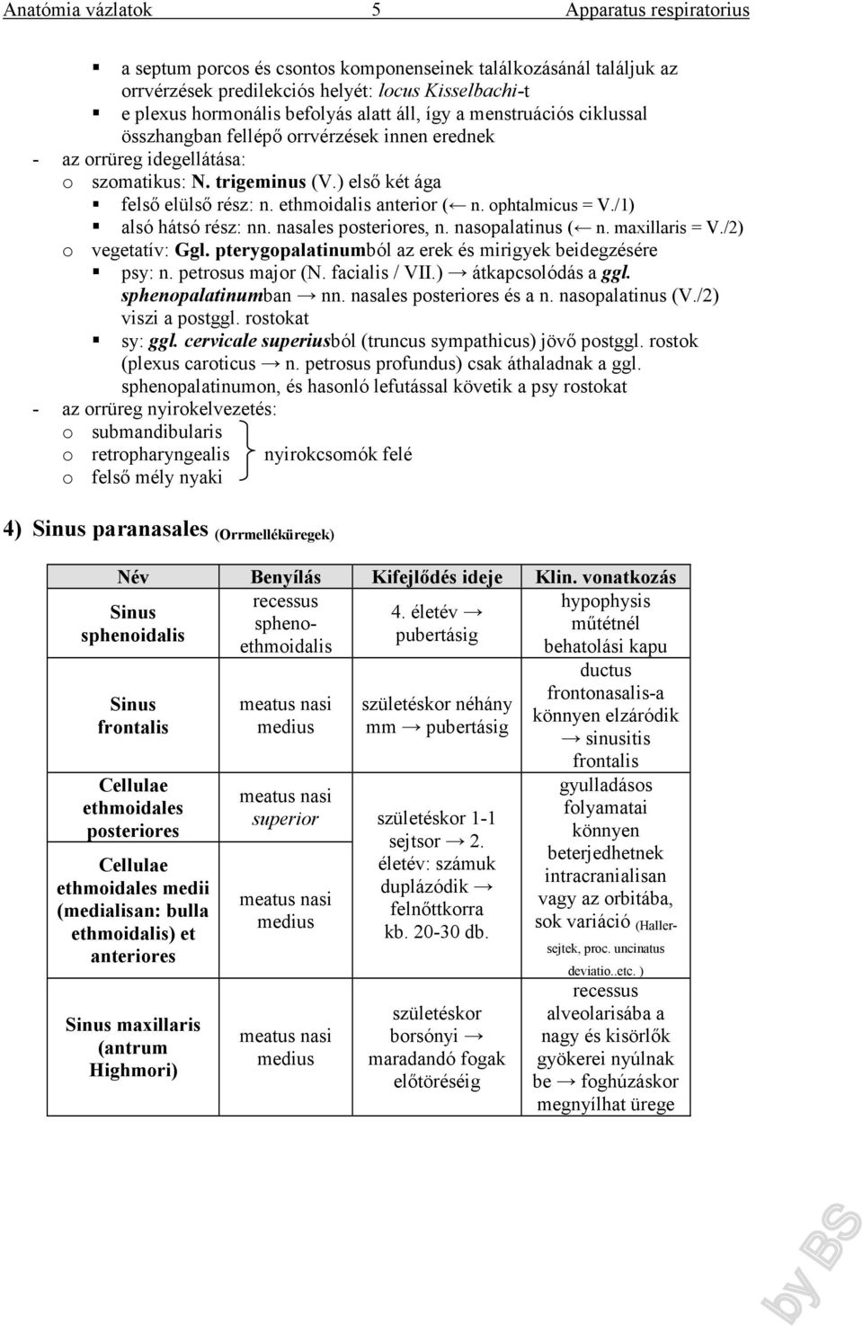 /1) alsó hátsó rész: nn. nasales posteriores, n. nasopalatinus ( n. maxillaris = V./2) o vegetatív: Ggl. pterygopalatinumból az erek és mirigyek beidegzésére psy: n. petrosus major (N. facialis / VII.