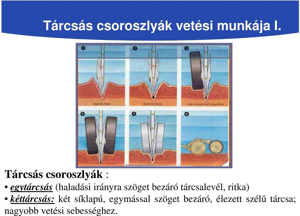 szöget bezáró tárcsalevél, ritka) kéttárcsás: két