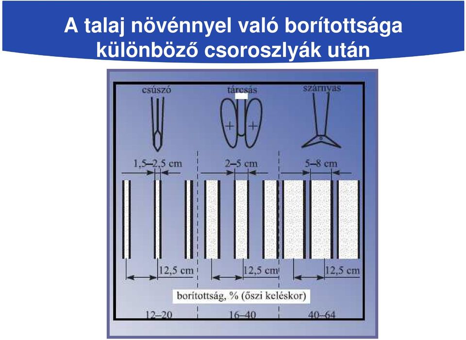 borítottsága