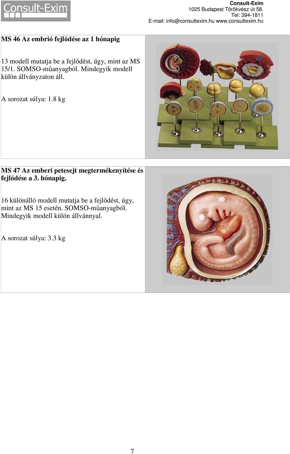 8 kg MS 47 Az emberi petesejt megtermékenyítése és fejlődése a 3. hónapig.