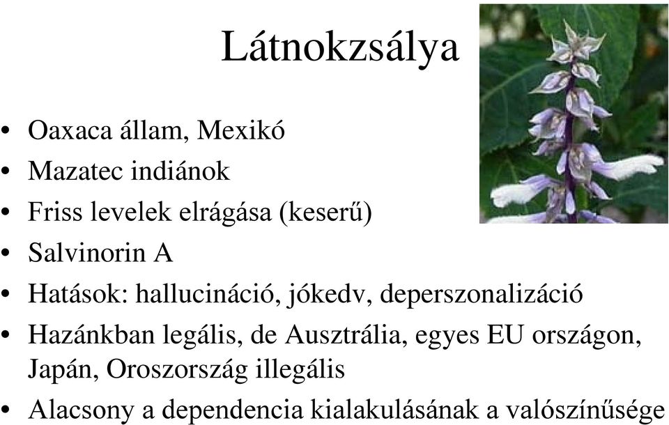 deperszonalizáció Hazánkban legális, de Ausztrália, egyes EU