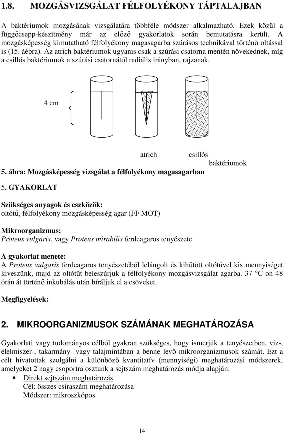 Az atrich baktériumok ugyanis csak a szúrási csatorna mentén növekednek, míg a csillós baktériumok a szúrási csatornától radiális irányban, rajzanak. 4 cm atrich csillós baktériumok 5.