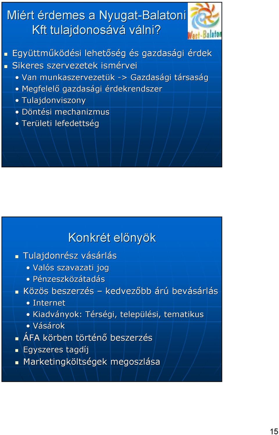 gazdasági gi érdekrendszer Tulajdonviszony Döntési mechanizmus Területi lefedettség Konkrét t elıny nyök Tulajdonrész vásárlv rlás Valós s