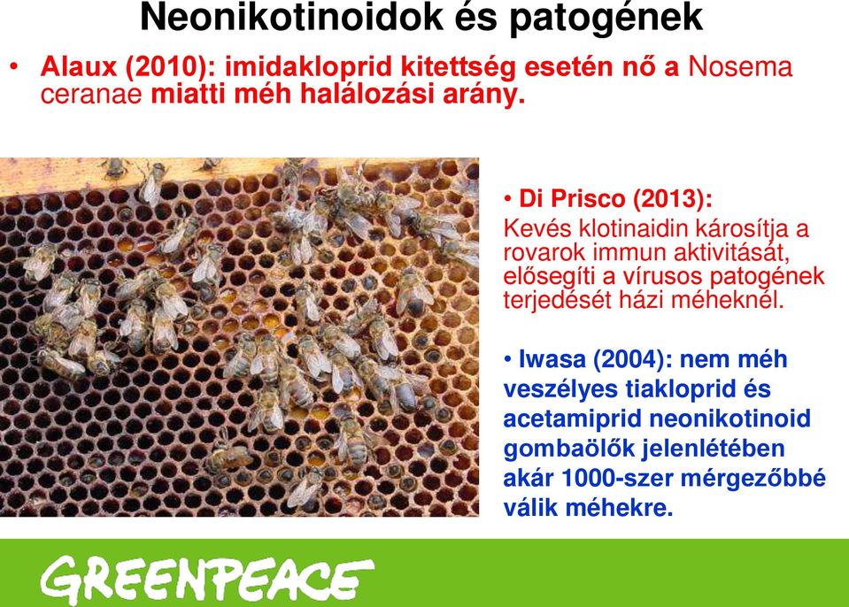 Di Prisco (2013): Kevés klotinaidin károsítja a rovarok immun aktivitását, elősegíti a vírusos