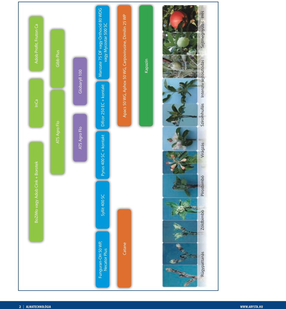 Orthocid 80 WDG vagy Mycostar 500 SC Catane Apacs 50 WG, Aphox 50 WG, Carpovirusine, Dimilin 25 WP Kapazin