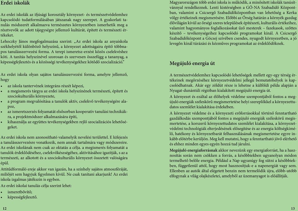 Lehoczky János megfogalmazása szerint: Az erdei iskola az anyaiskola székhelyétől különböző helyszínű, a környezet adottságaira építő többnapos tanulásszervezési forma.