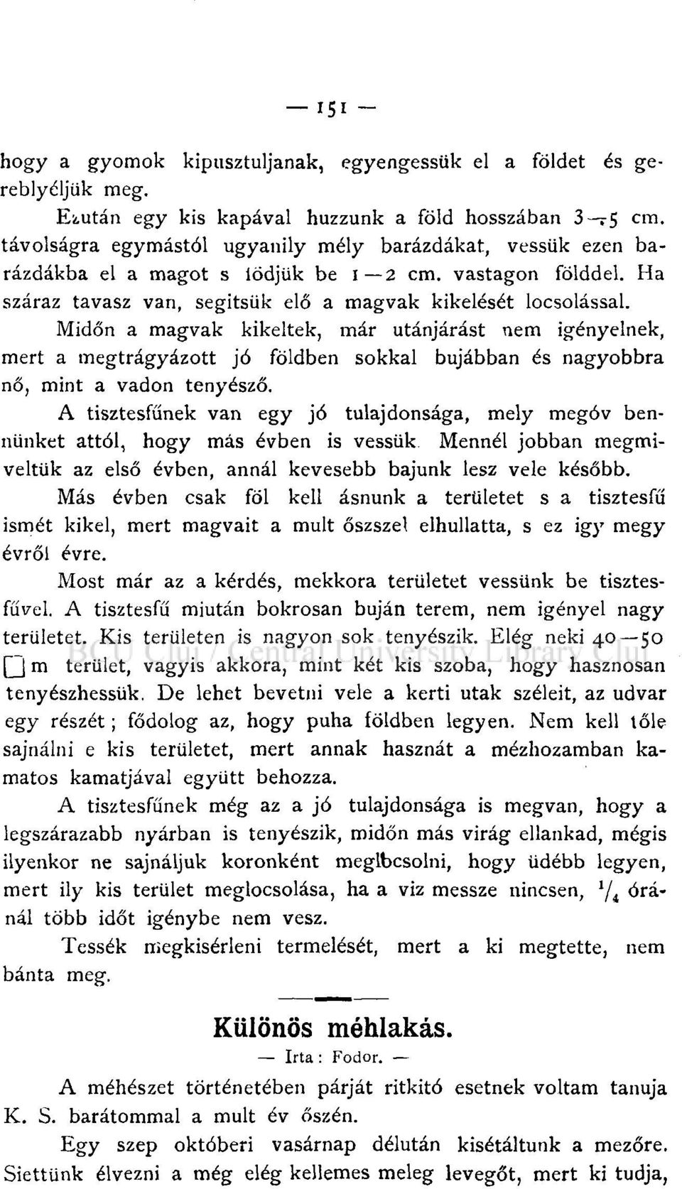 Midőn a magvak kikeltek, már utánjárást nem igényelnek, mert a megtrágyázott jó földben sokkal bujábban és nagyobbra nő, mint a vadon tenyésző.