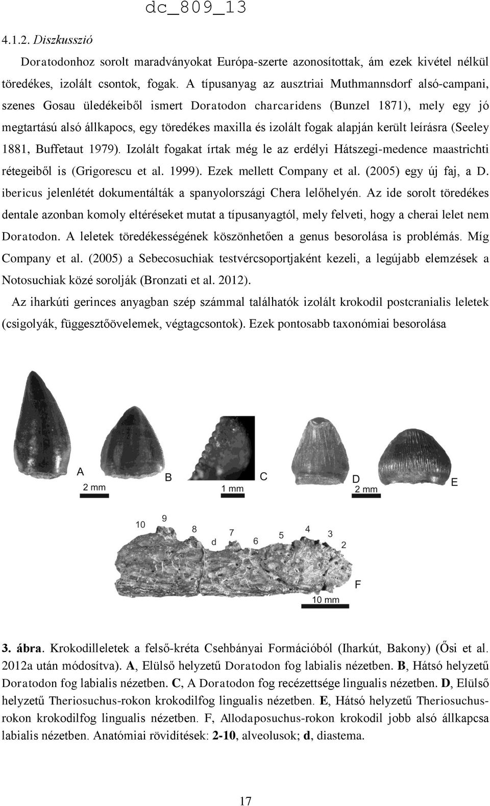 fogak alapján került leírásra (Seeley 1881, Buffetaut 1979). Izolált fogakat írtak még le az erdélyi Hátszegi-medence maastrichti rétegeiből is (Grigorescu et al. 1999). Ezek mellett Company et al.