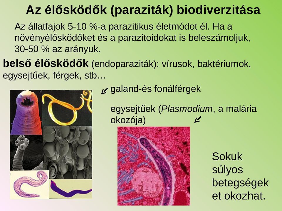 belső élősködők (endoparaziták): vírusok, baktériumok, egysejtűek, férgek, stb