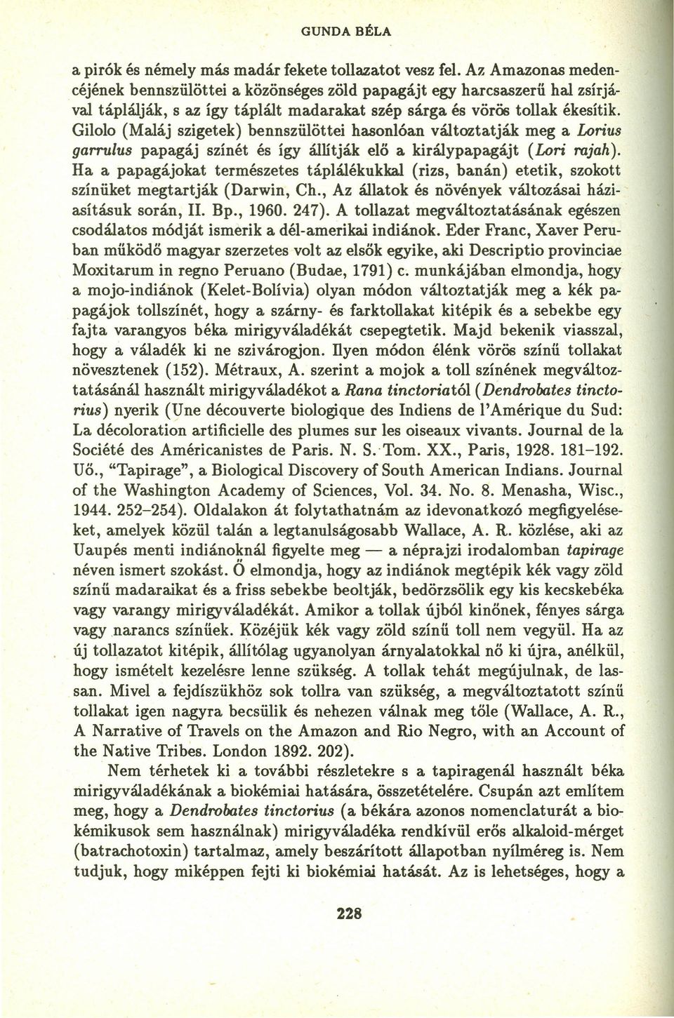 Gilolo (Maláj szigetek) bennszülöttei hasonlóan változtatják meg a Lorius qarrulus papagáj színét és Így állitják elő a királypapagájt (Lori rojah).