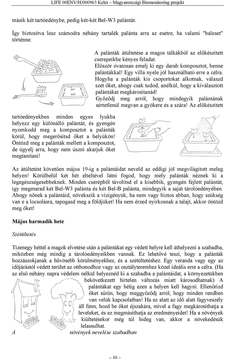 Öntözd meg a palánták mellett a komposztot, de ügyelj arra, hogy nem úszni akarjuk őket megtanítani! A palánták átültetése a magos tálkákból az előkészített cserepeikbe kényes feladat.