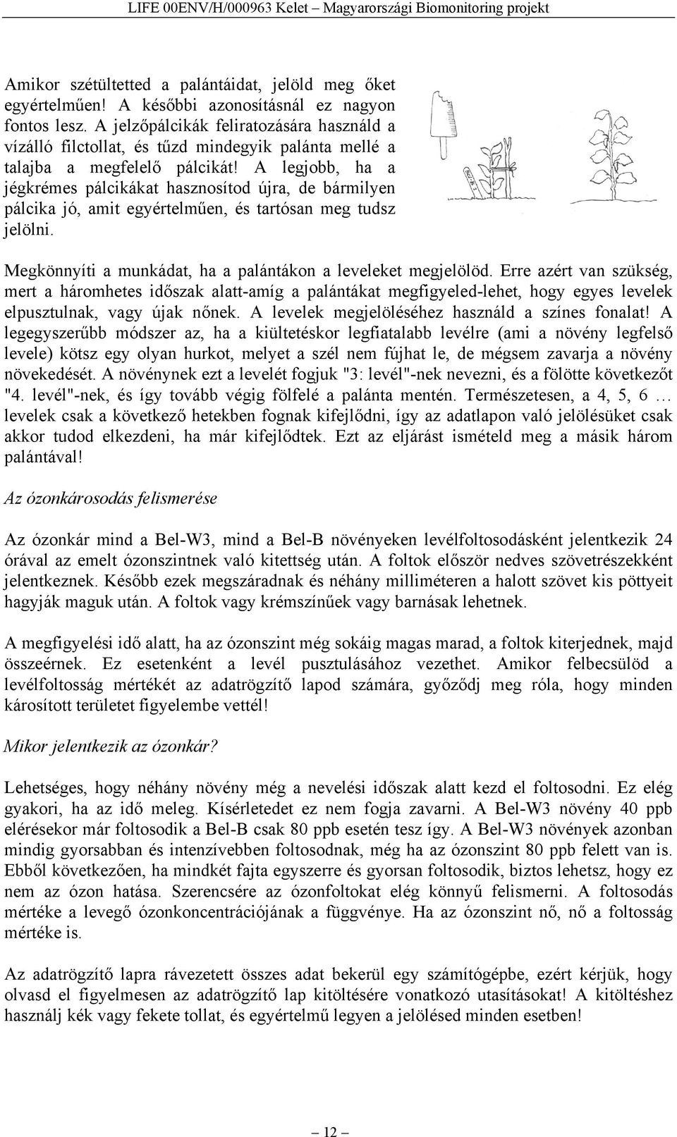 A legjobb, ha a jégkrémes pálcikákat hasznosítod újra, de bármilyen pálcika jó, amit egyértelműen, és tartósan meg tudsz jelölni. Megkönnyíti a munkádat, ha a palántákon a leveleket megjelölöd.