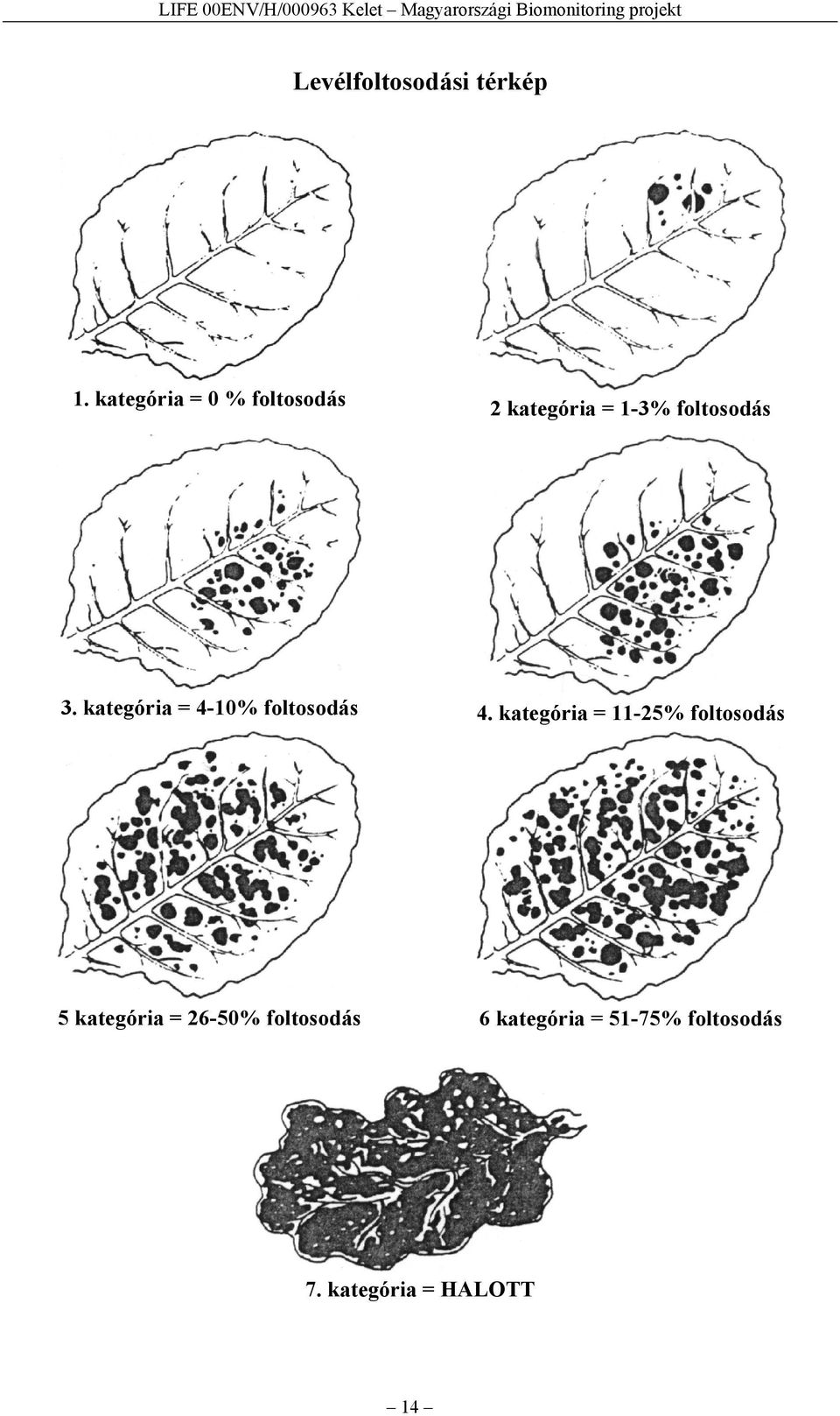 foltosodás. kategória = 4-% foltosodás 4.