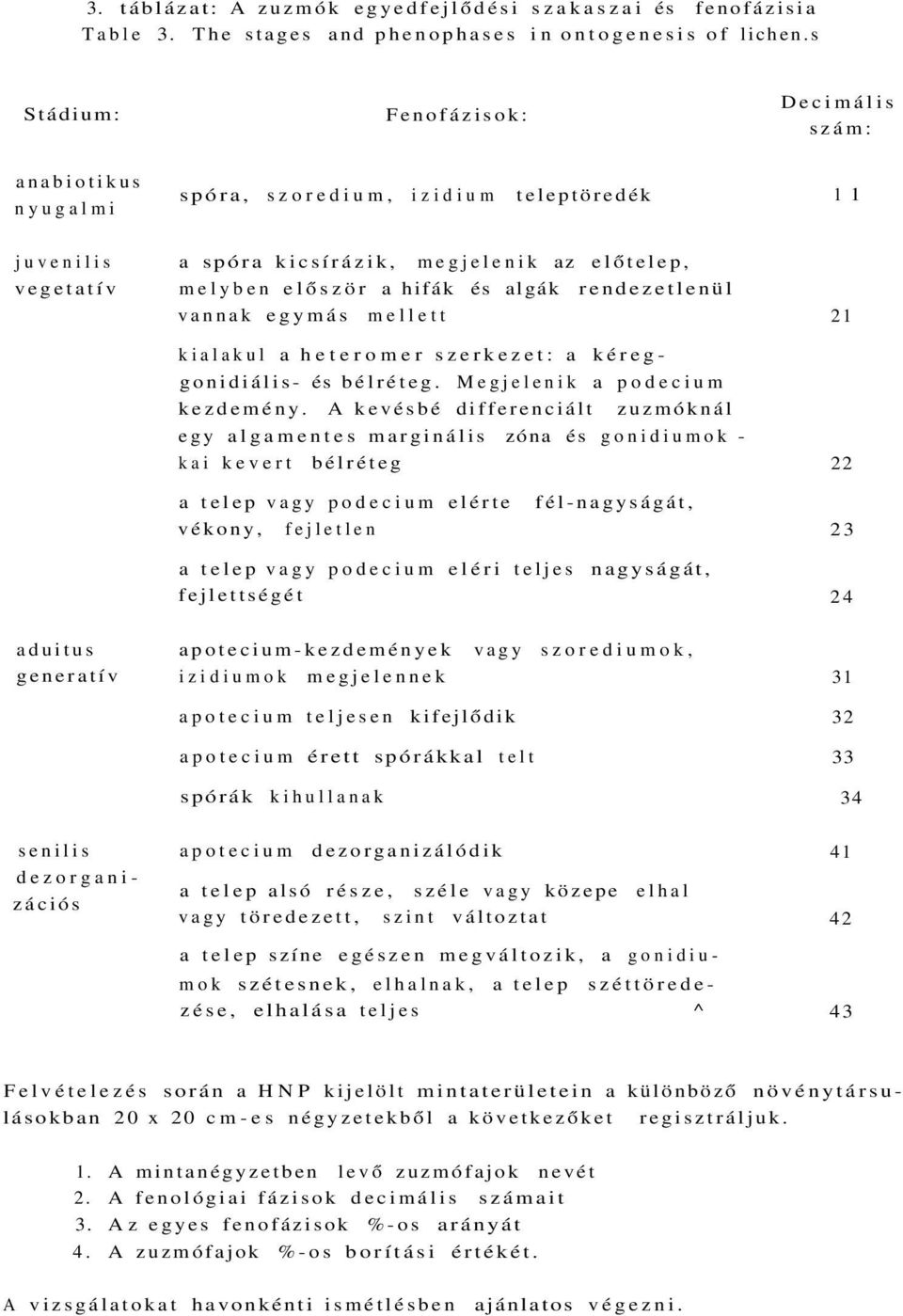 algák rendezetlenül vannak egymás mellett 21 kialakul a heteromer szerkezet: a kéreggonidiális- és bélréteg. Megjelenik a podecium kezdemény.