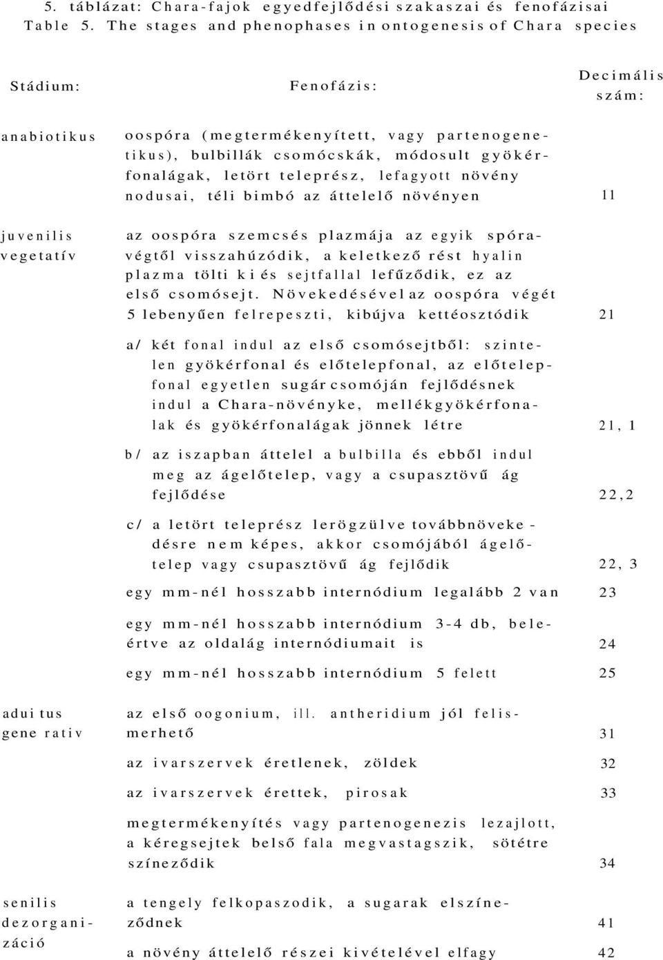 gyökérfonalágak, letört teleprész, lefagyott növény nodusai, téli bimbó az áttelelő növényen 11 az oospóra szemcsés plazmája az egyik spóra juvenilis vegetatív végtől visszahúzódik, a keletkező rést