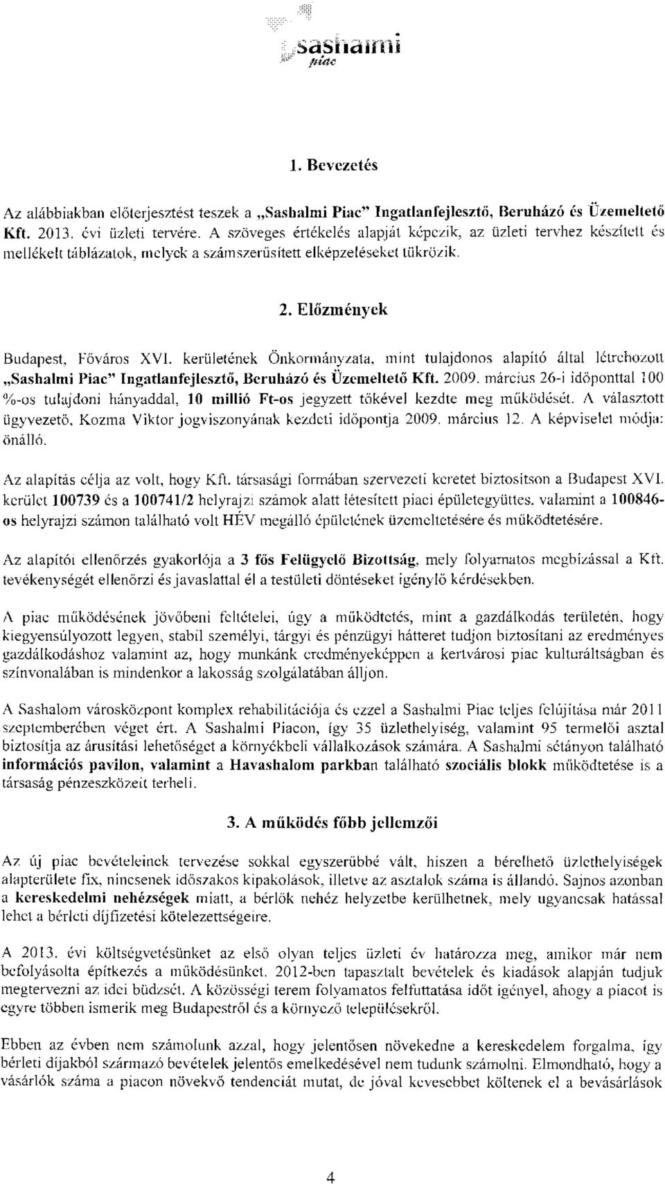 kerületének Önkormányzata, mint tulajdonos alapító által létrehozott Sashalmi Piac" Ingatlanfejlesztő, Beruházó és Üzemeltető Kft. 2009.