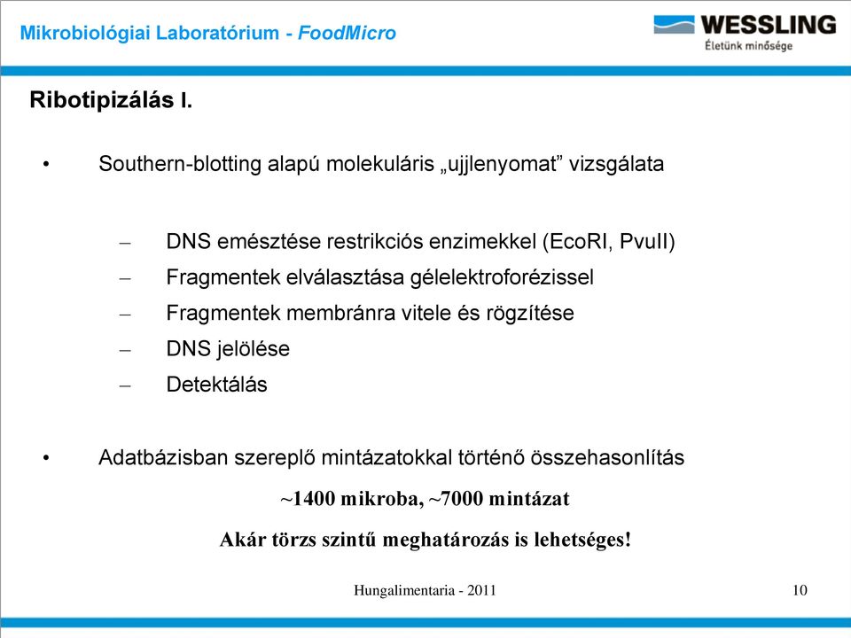 (EcoRI, PvuII) Fragmentek elválasztása gélelektroforézissel Fragmentek membránra vitele és