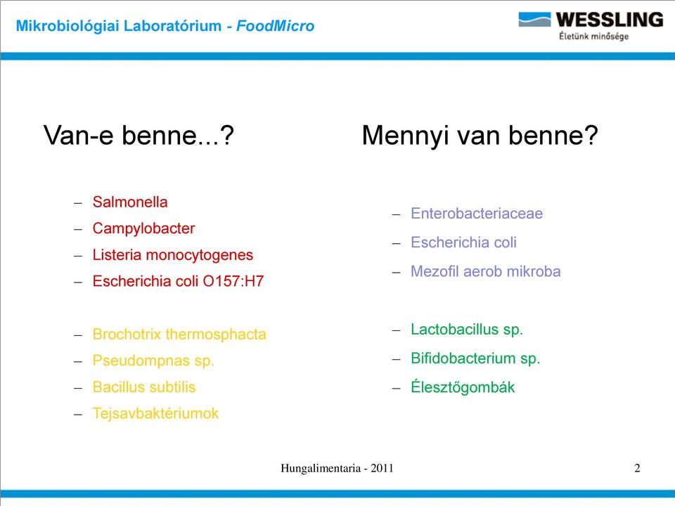 Enterobacteriaceae Escherichia coli Mezofil aerob mikroba Brochotrix