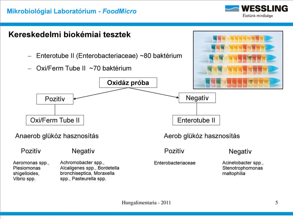 Negatív Aeromonas spp., Plesiomonas shigelloides, Vibrio spp. Achromobacter spp., Alcaligenes spp.