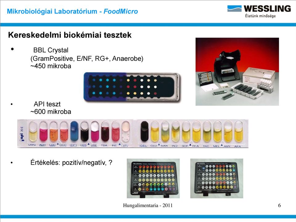 Anaerobe) ~450 mikroba API teszt ~600