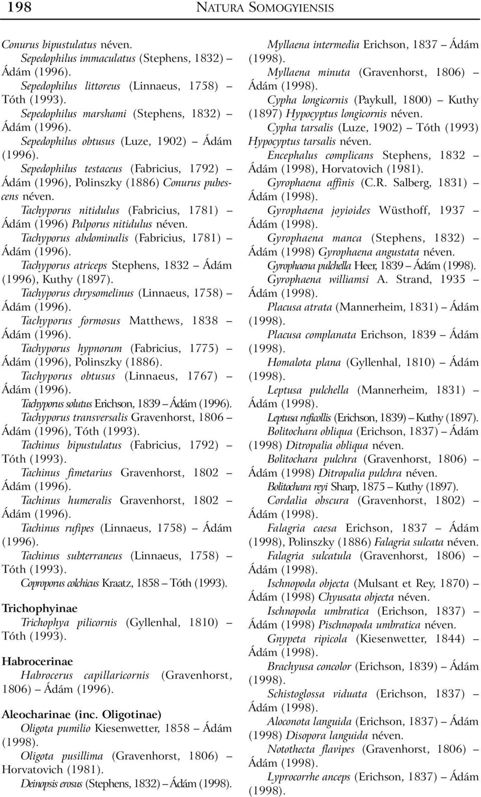 Tachyporus nitidulus (Fabricius, 1781) Ádám (1996) Palporus nitidulus néven. Tachyporus abdominalis (Fabricius, 1781) Tachyporus atriceps Stephens, 1832 Ádám (1996), Kuthy (1897).