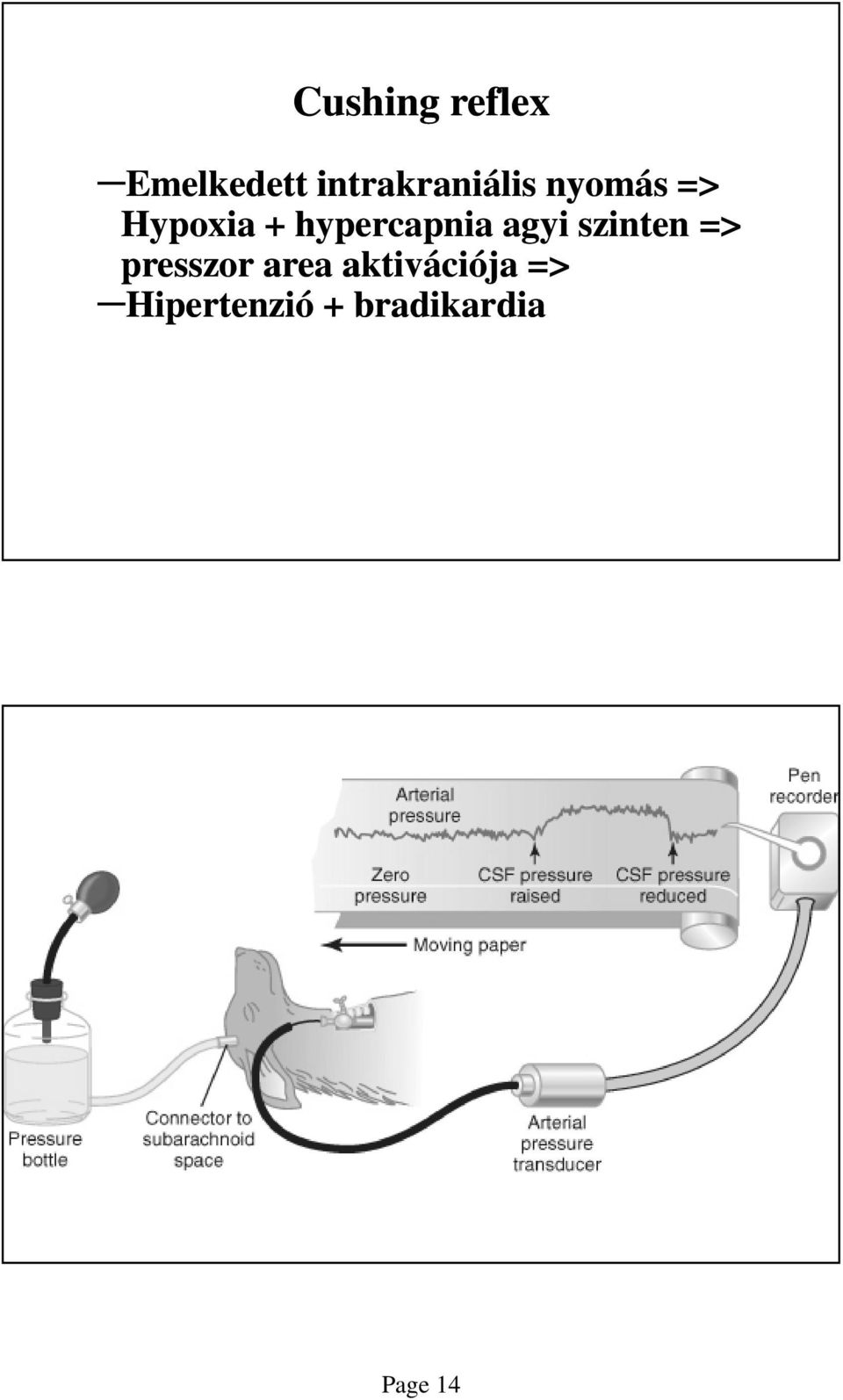 hypercapnia agyi szinten => presszor