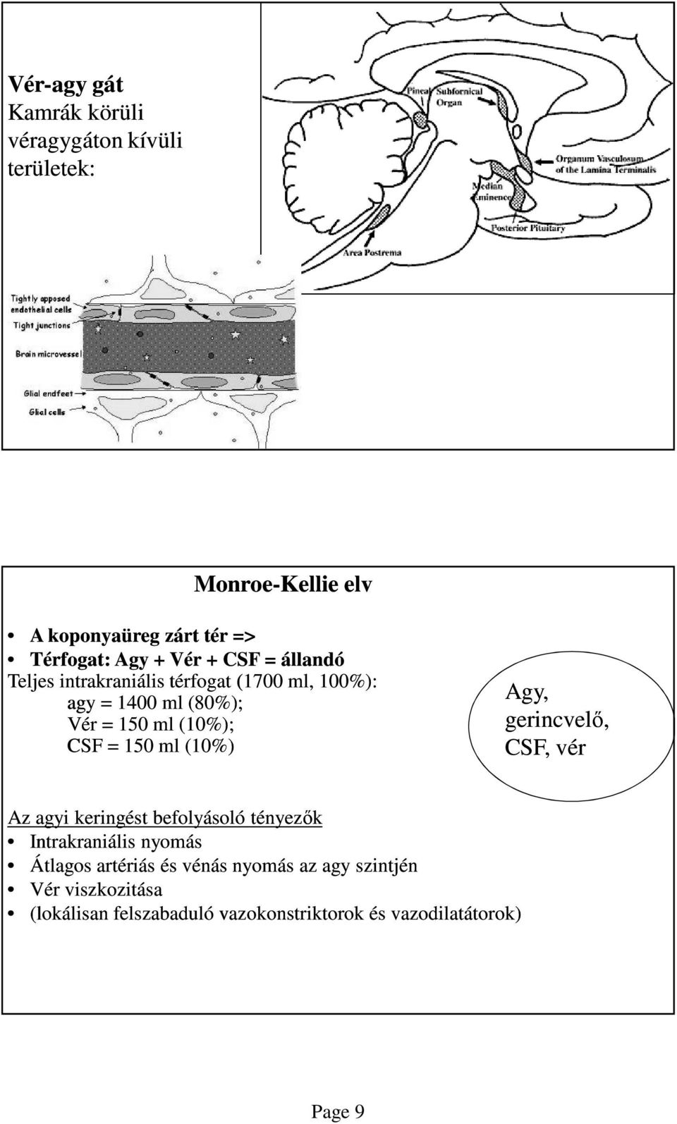 150 ml (10%) Agy, gerincvelő, CSF, vér Az agyi keringést befolyásoló tényezők Intrakraniális nyomás Átlagos artériás