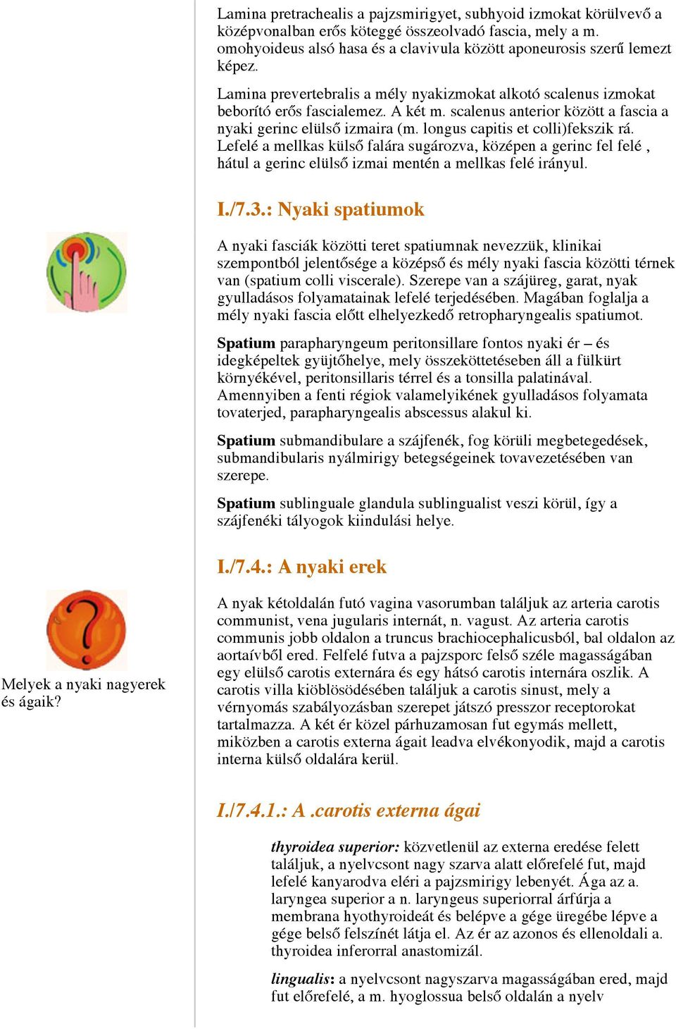 longus capitis et colli)fekszik rá. Lefelé a mellkas külső falára sugározva, középen a gerinc fel felé, hátul a gerinc elülső izmai mentén a mellkas felé irányul. I./7.3.