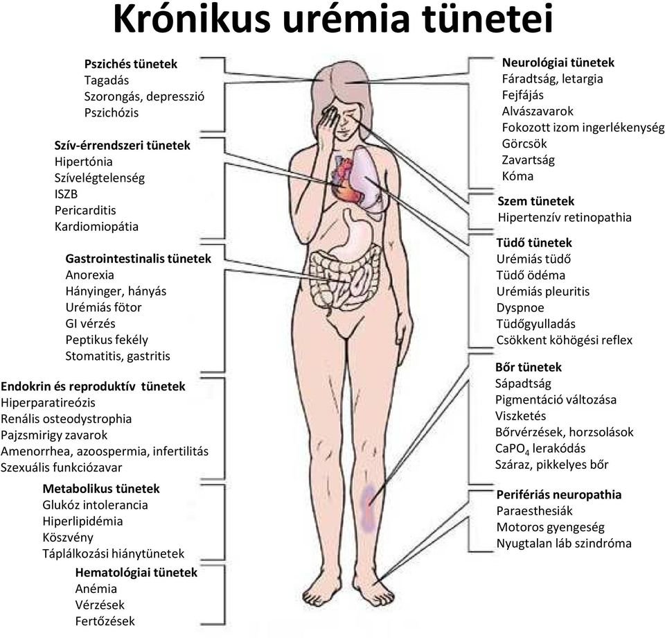 azoospermia, infertilitás Szexuális funkciózavar Metabolikus tünetek Glukóz intolerancia Hiperlipidémia Köszvény Táplálkozási hiánytünetek Hematológiai tünetek Anémia Vérzések Fertőzések Neurológiai