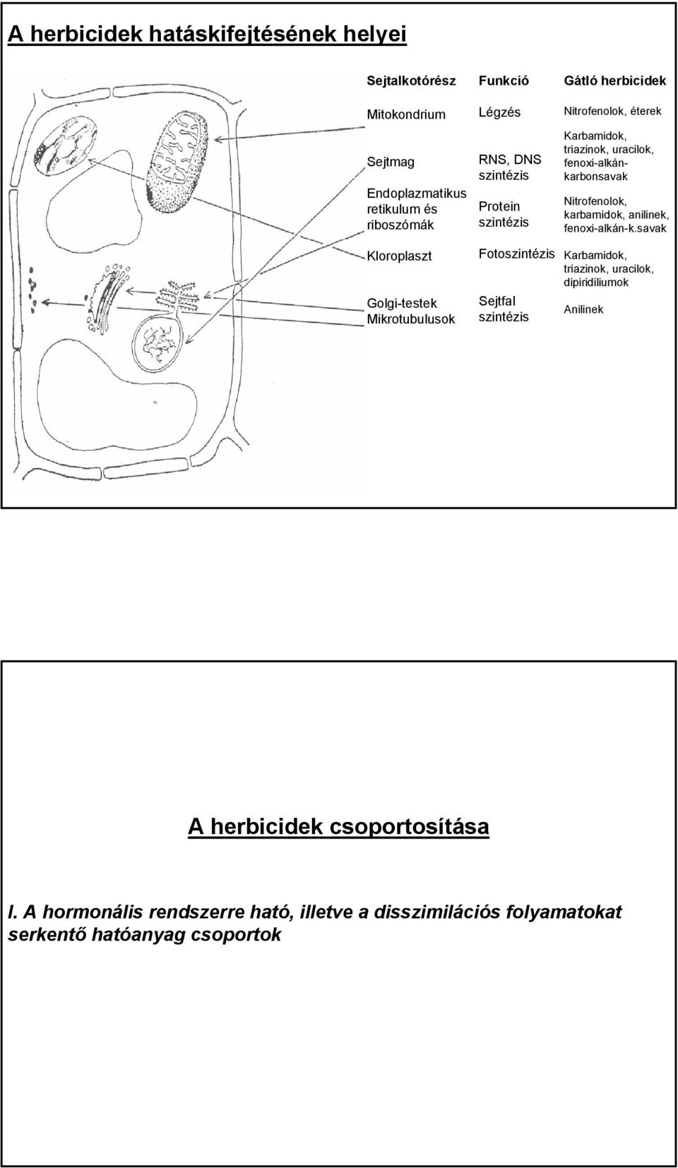 karbamidok, anilinek, fenoxi-alkán-k.