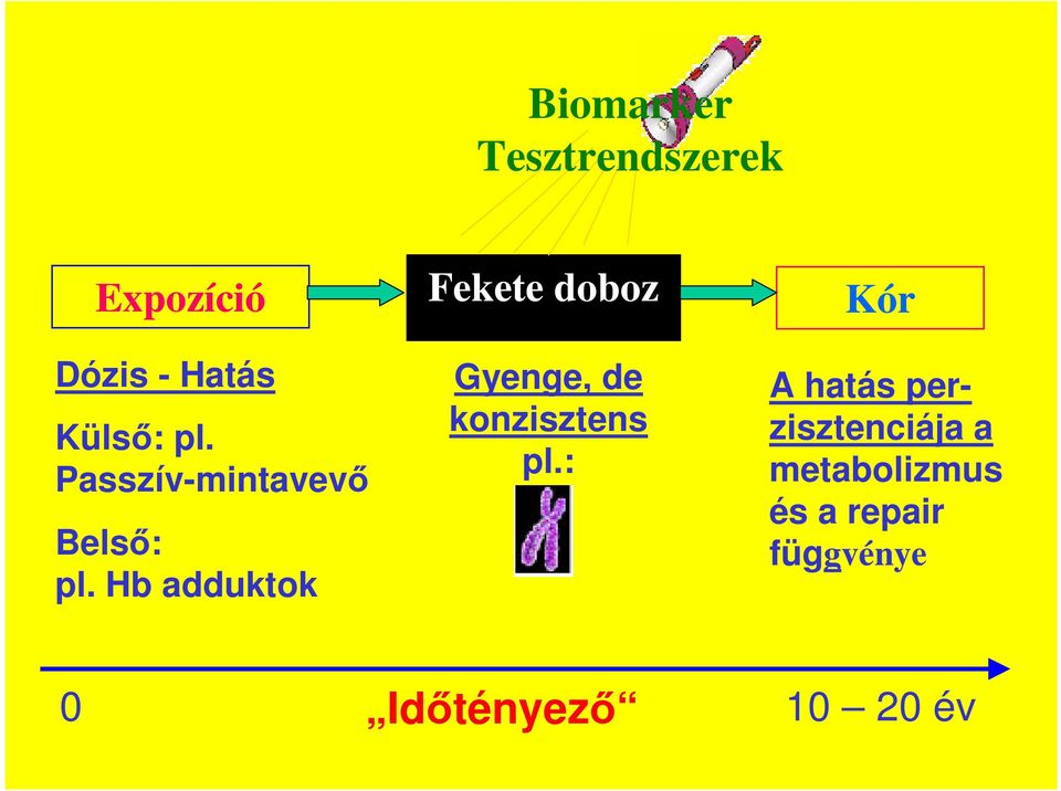 Hb adduktok Gyenge, de konzisztens pl.