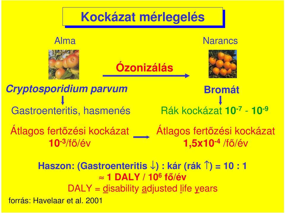 Átlagos fertzési kockázat 10-3 /f/év Bromát Rák kockázat 10-7 - 10-9 Átlagos fertzési