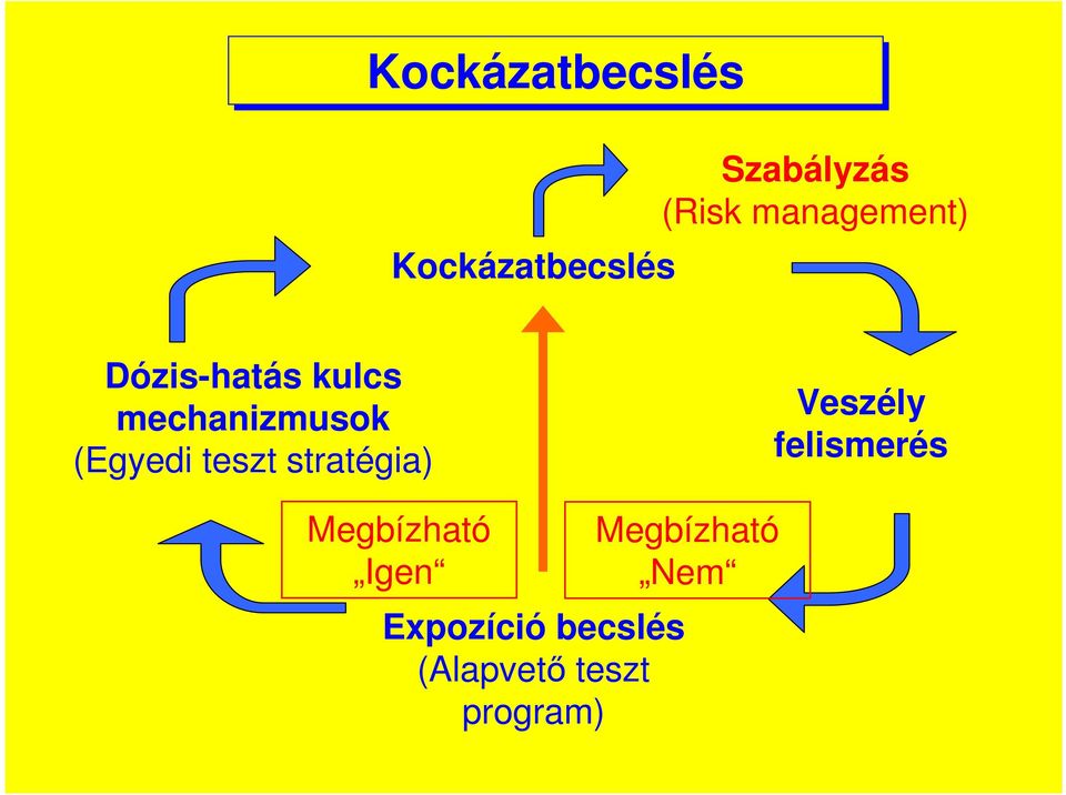 mechanizmusok (Egyedi teszt stratégia) Veszély