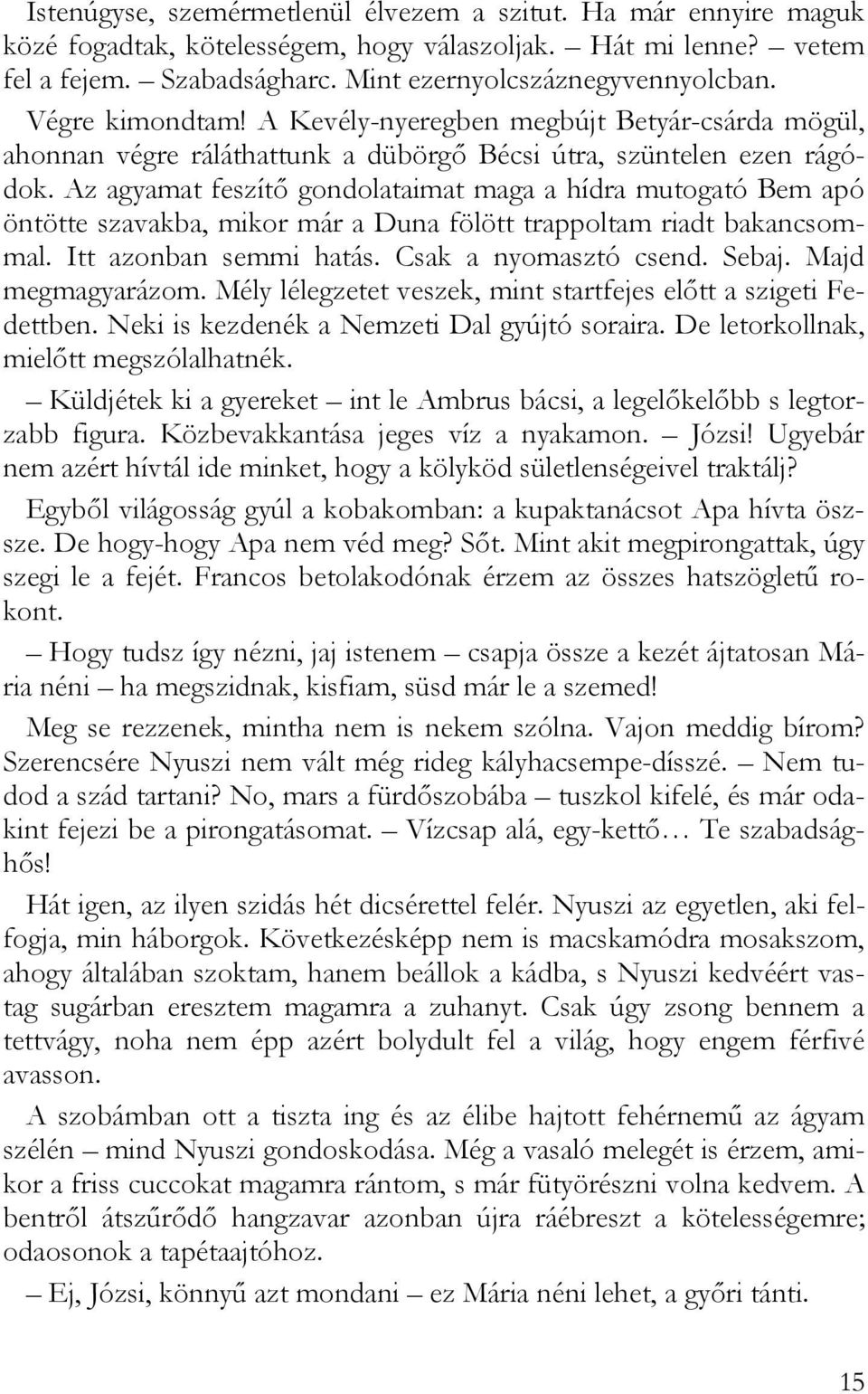 Az agyamat feszítő gondolataimat maga a hídra mutogató Bem apó öntötte szavakba, mikor már a Duna fölött trappoltam riadt bakancsommal. Itt azonban semmi hatás. Csak a nyomasztó csend. Sebaj.