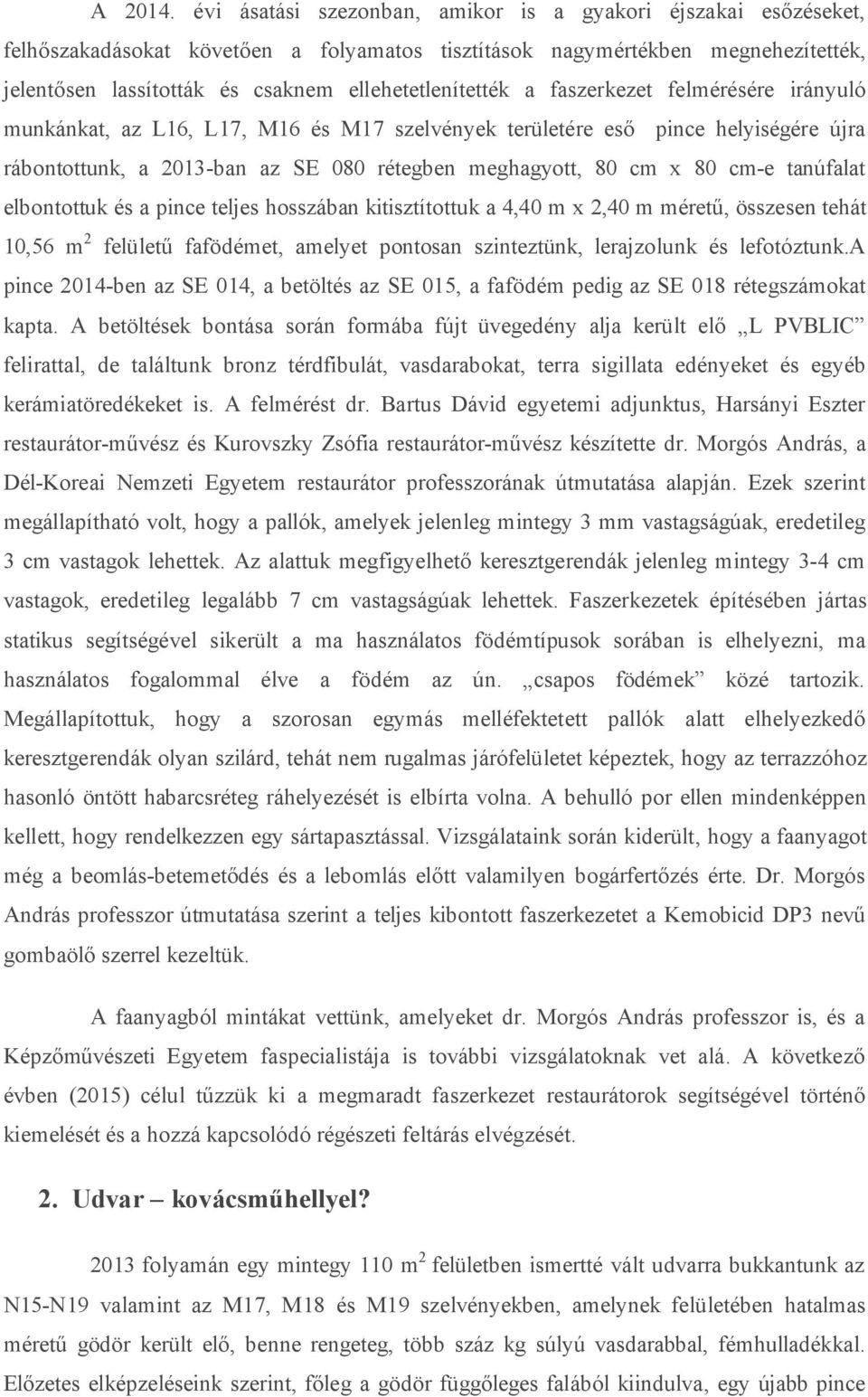 ellehetetlenítették a faszerkezet felmérésére irányuló munkánkat, az L16, L17, M16 és M17 szelvények területére eső pince helyiségére újra rábontottunk, a 2013-ban az SE 080 rétegben meghagyott, 80