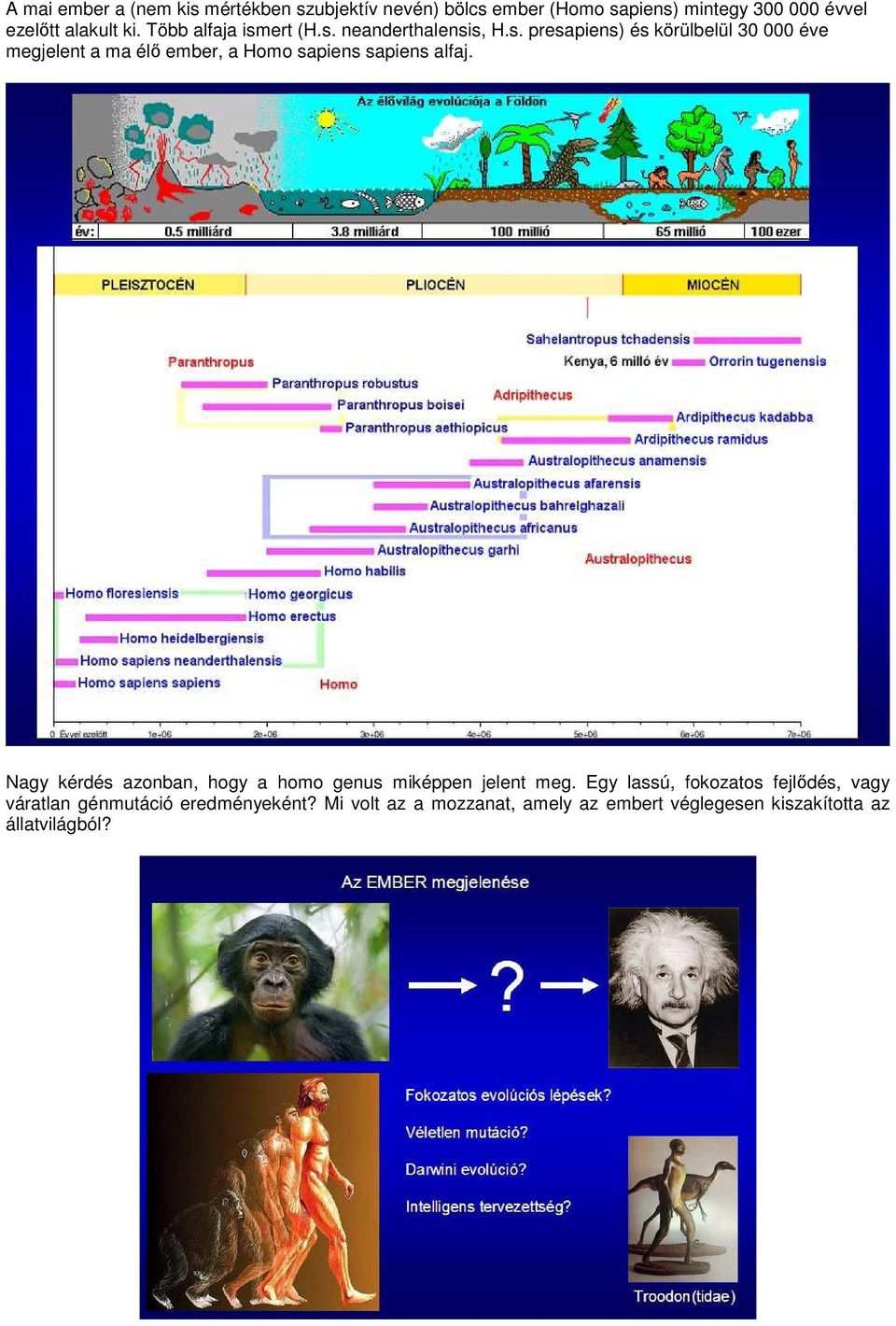 Nagy kérdés azonban, hogy a homo genus miképpen jelent meg.