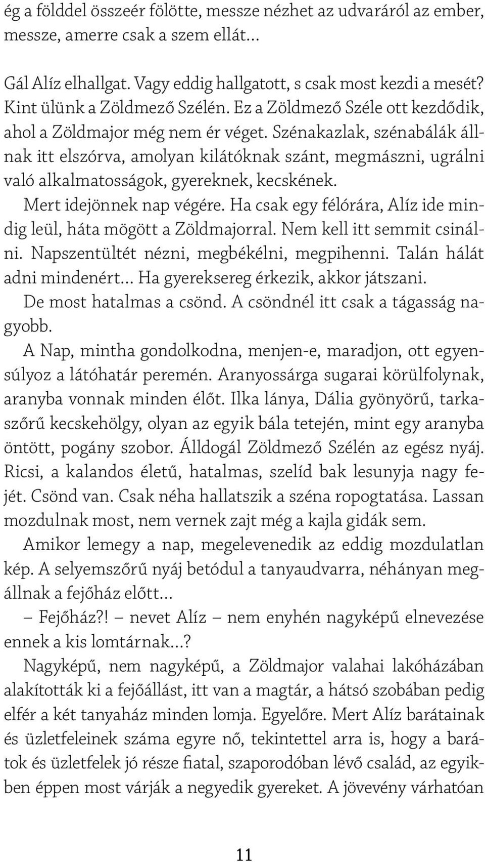 Szénakazlak, szénabálák állnak itt elszórva, amolyan kilátóknak szánt, megmászni, ugrálni való alkalmatosságok, gyereknek, kecskének. Mert idejönnek nap végére.