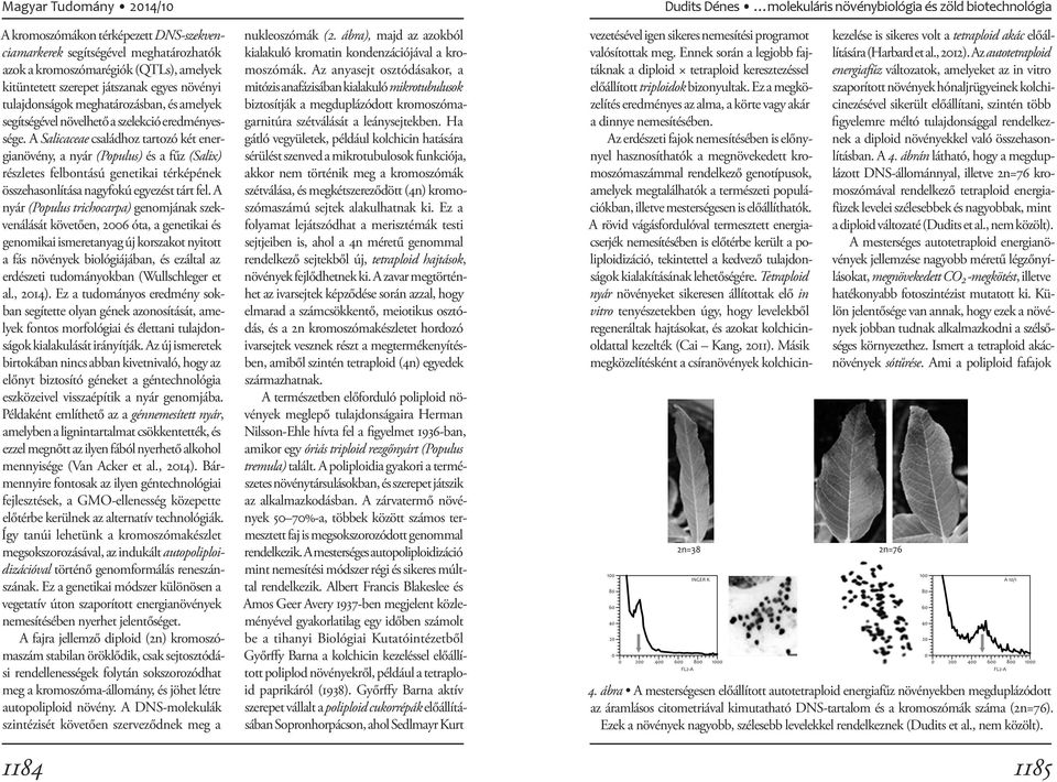 A Salicaceae családhoz tartozó két energianövény, a nyár (Populus) és a fűz (Salix) részletes felbontású genetikai térképének összehasonlítása nagyfokú egyezést tárt fel.