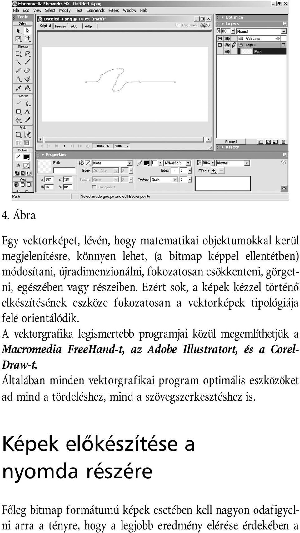 A vektorgrafika legismertebb programjai közül megemlíthetjük a Macromedia FreeHand-t, az Adobe Illustratort, és a Corel- Draw-t.